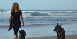 NOTICIAS DE ALICE – NEWS FROM ALICE – Neuigkeiten von Alice