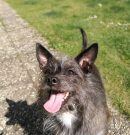 ¡HASTA SIEMPRE, PRECIOSA LUNA/SARA! – Farewell, beautiful Luna/Sara! – Leb wohl, hübsche Luna/Sara!