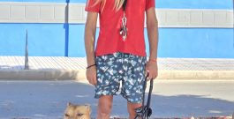 NOTICIAS DE TURRON – News about Turrón – Neuigkeiten von Turrón