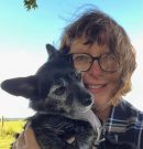NOTICIAS DE CHICO/COCO – News from Chico/Coco – Neuigkeiten von Chico/Coco